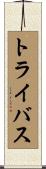 トライバス Scroll
