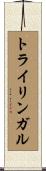 トライリンガル Scroll