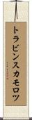 トラビンスカモロツ Scroll