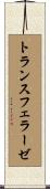 トランスフェラーゼ Scroll