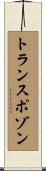 トランスポゾン Scroll