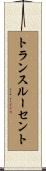 トランスルーセント Scroll