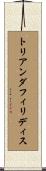 トリアンダフィリディス Scroll