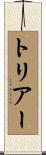 トリアー Scroll