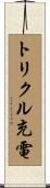 トリクル充電 Scroll