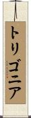 トリゴニア Scroll