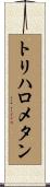トリハロメタン Scroll