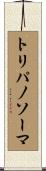 トリパノソーマ Scroll