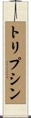 トリプシン Scroll