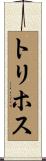 トリホス Scroll