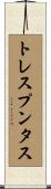 トレスプンタス Scroll