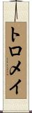 トロメイ Scroll