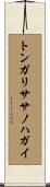 トンガリササノハガイ Scroll
