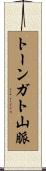 トーンガト山脈 Scroll