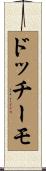 ドッチーモ Scroll