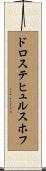 ドロステヒュルスホフ Scroll