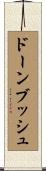 ドーンブッシュ Scroll