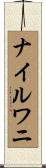 ナイルワニ Scroll