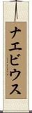 ナエビウス Scroll
