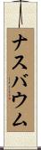 ナスバウム Scroll