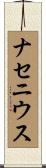 ナセニウス Scroll