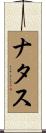Natas Scroll