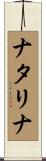 Natalina Scroll