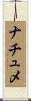 ナチュメ Scroll