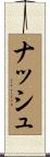 ナッシュ Scroll