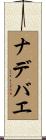 ナデバエ Scroll