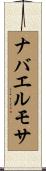 ナバエルモサ Scroll