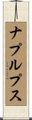 ナプルプス Scroll