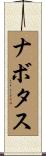 ナボタス Scroll