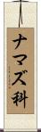 ナマズ科 Scroll