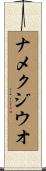 ナメクジウオ Scroll