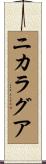 Nicaragua Scroll