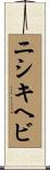 ニシキヘビ Scroll