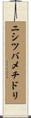 ニシツバメチドリ Scroll