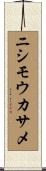 ニシモウカサメ Scroll