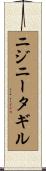 ニジニータギル Scroll