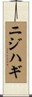 ニジハギ Scroll