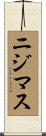 ニジマス Scroll