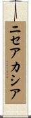 ニセアカシア Scroll