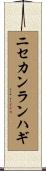 ニセカンランハギ Scroll