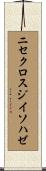 ニセクロスジイソハゼ Scroll