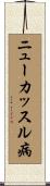 ニューカッスル病 Scroll