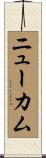 Newcomb Scroll