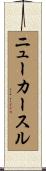 ニューカースル Scroll