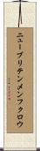 ニューブリテンメンフクロウ Scroll
