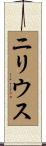 ニリウス Scroll